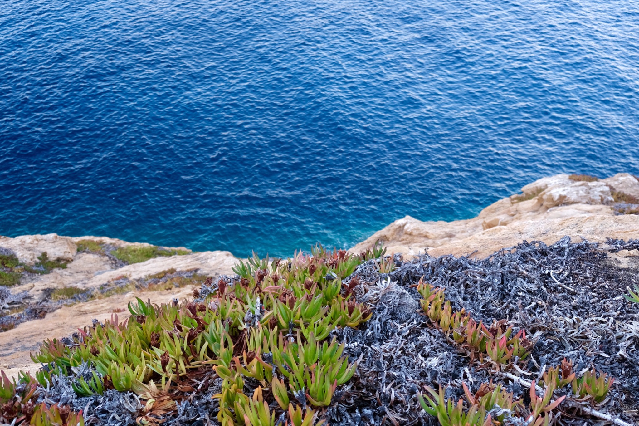 Corsica 2022   25 of 136